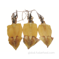 China DRIED SQUID (NORTH PACIFIC) Supplier